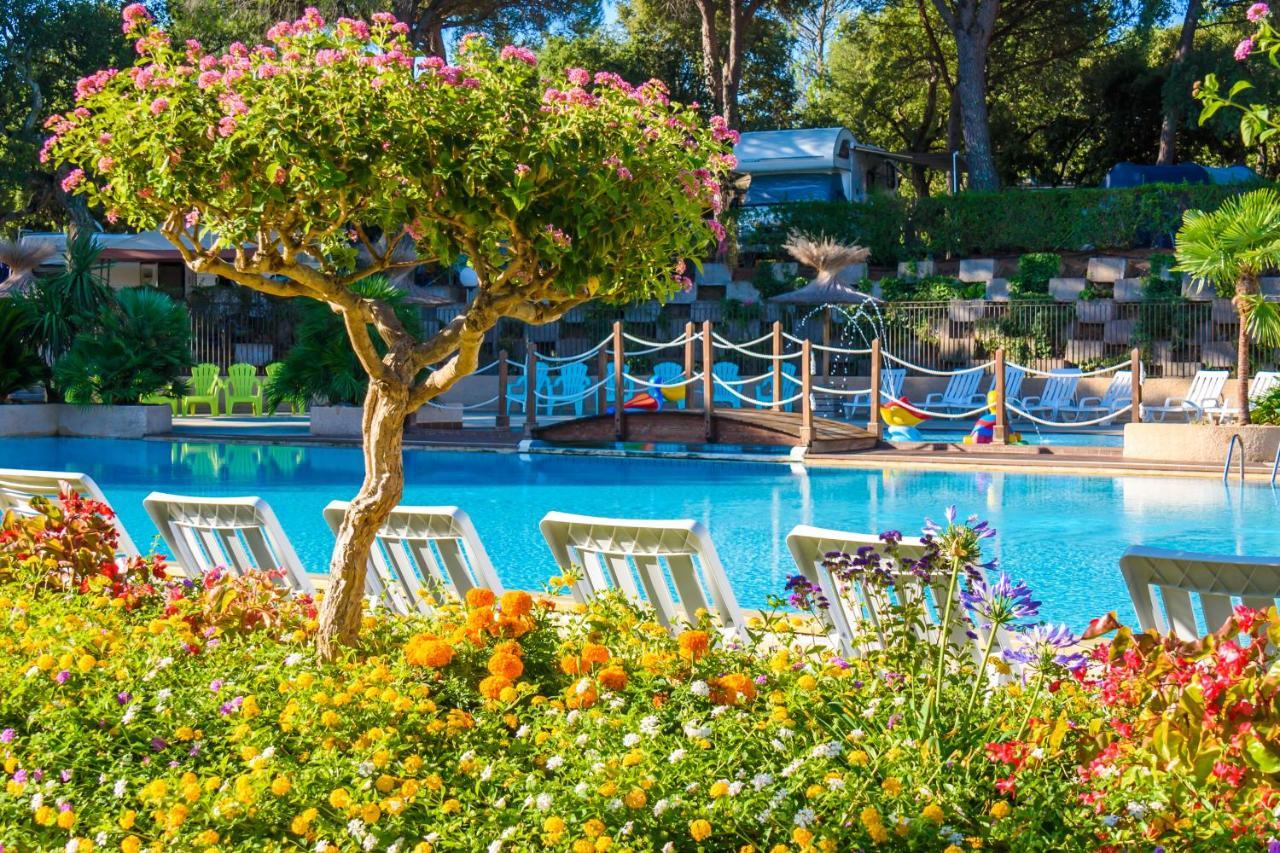 3 Bedroom Chalets Camping Lei Suves - Joycasa Roquebrune-sur Argens Ngoại thất bức ảnh